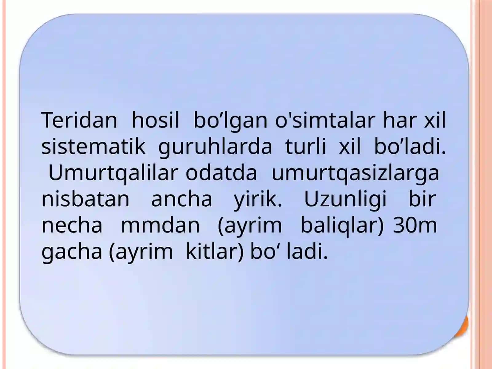 Umurtqalilarkenjatipi 4
