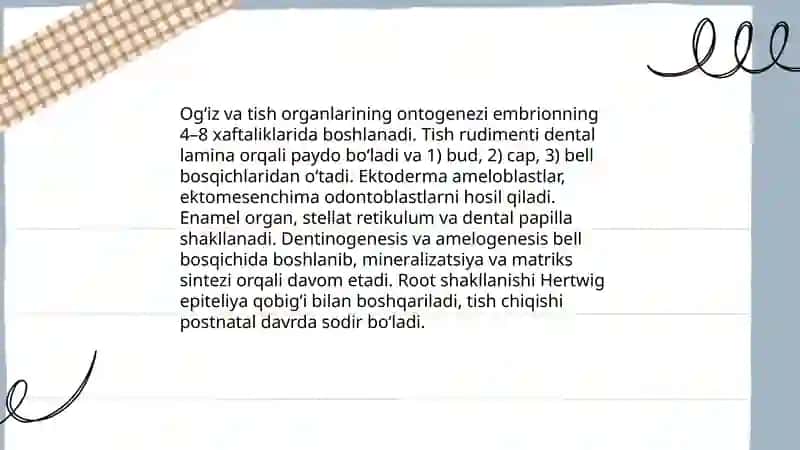 Hazm tizimi ontogenezi va filogenezi 4