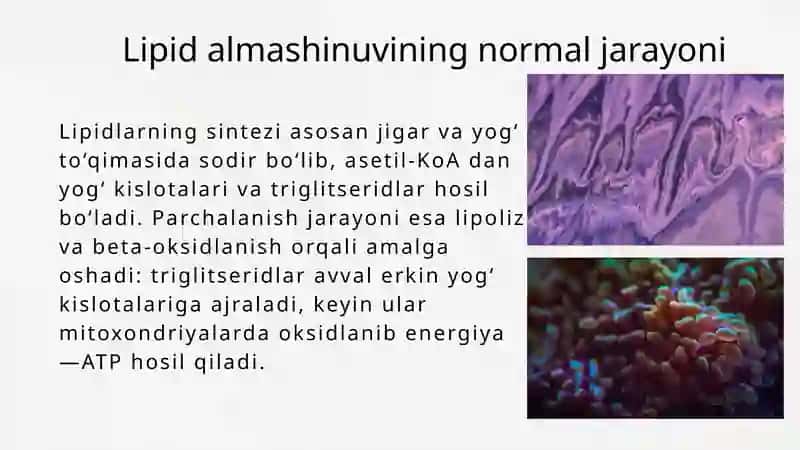 Yog'lar almashinuvining irsiy buzilishlari 4