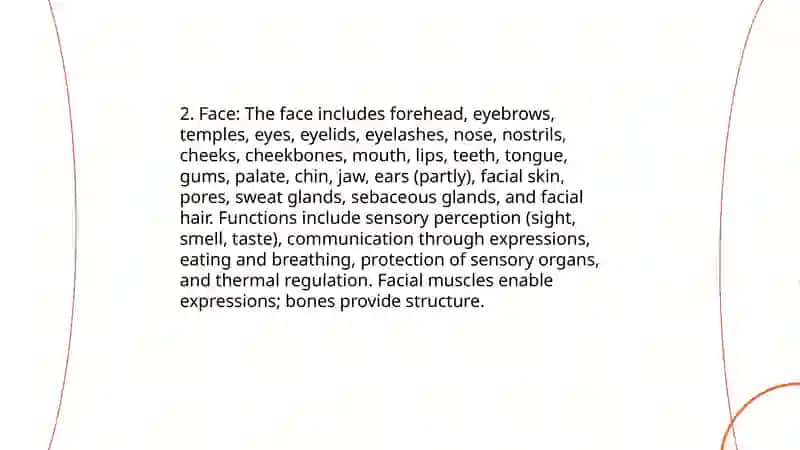 Parts of the body 4