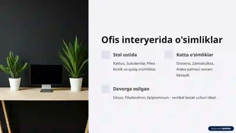 INTERYERDA O'SIMLIKLAR DUNYOSI 4