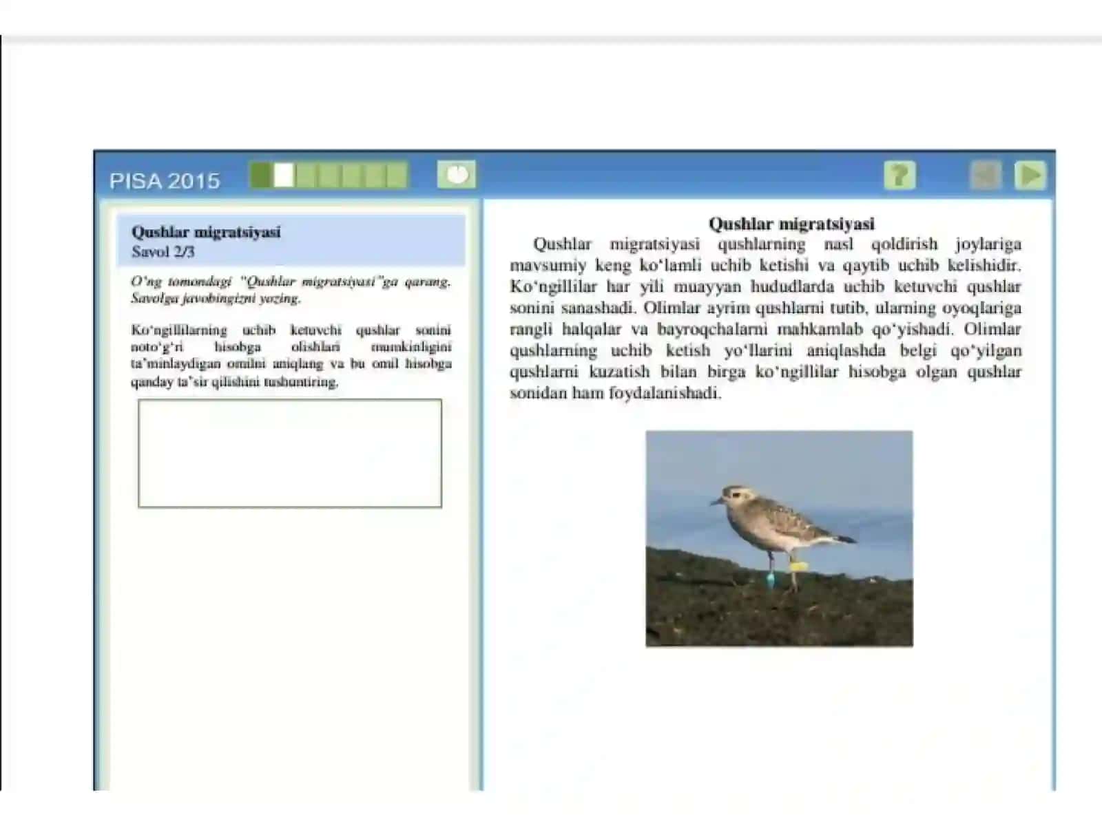 Qushlar migratsiyasi 4
