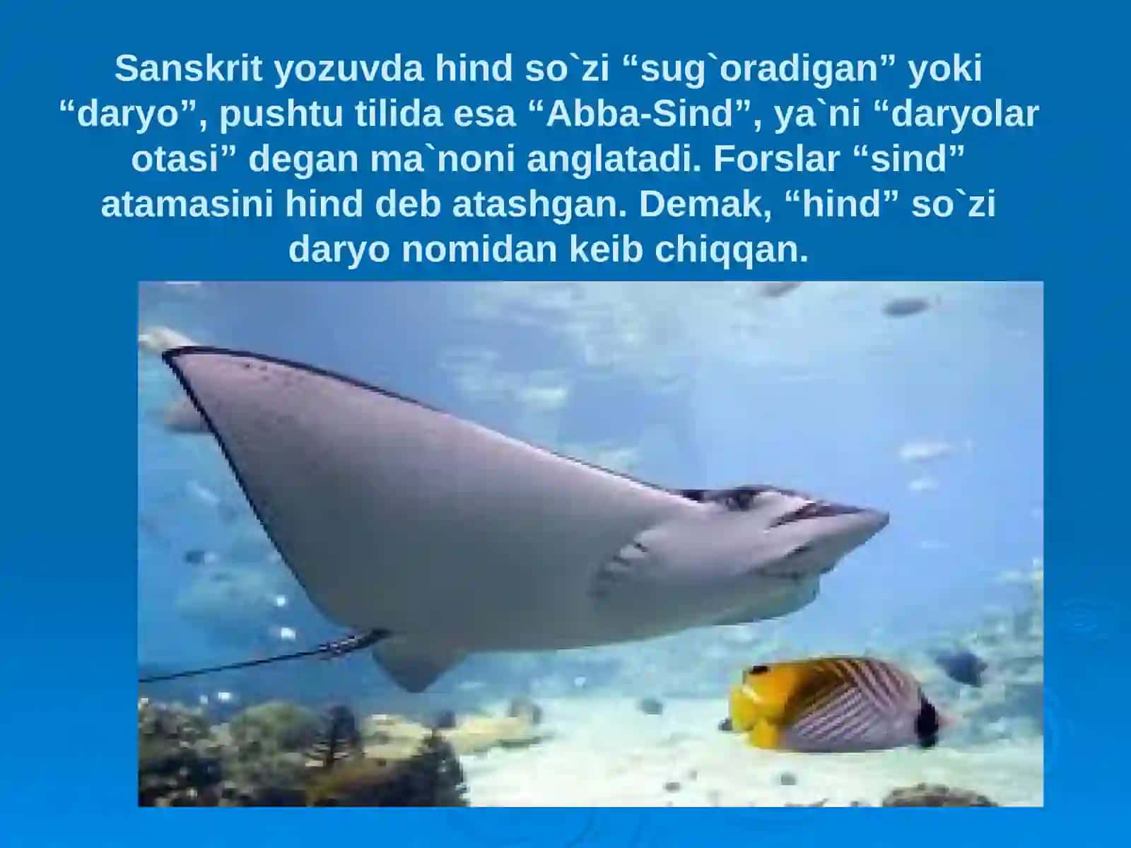 Geografiya fanidan o’tgan mavzuni takrorlash uchun savollar 4