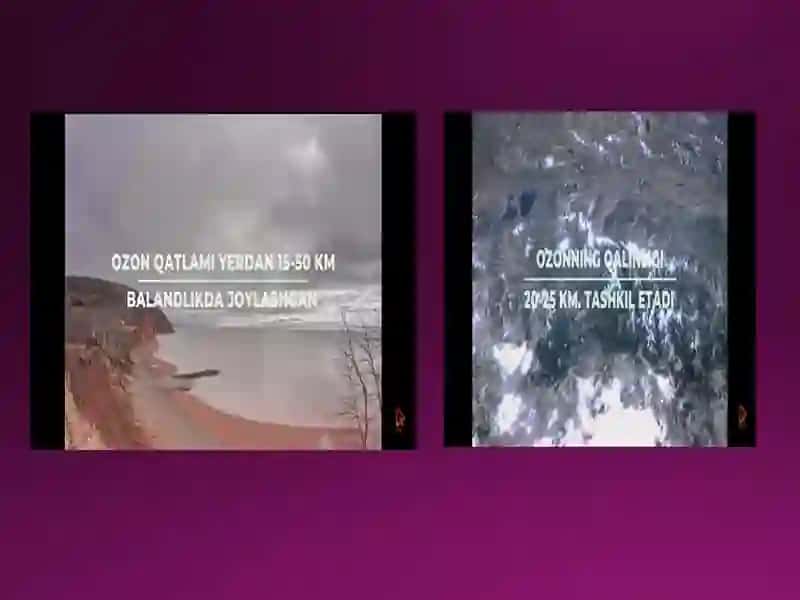 Ozon-qatlami 4