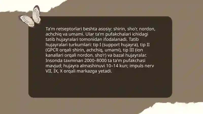 Ta‘m bilish a‘zosi anatomiyasi 4