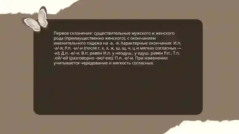 Три склонения имён существительных 4