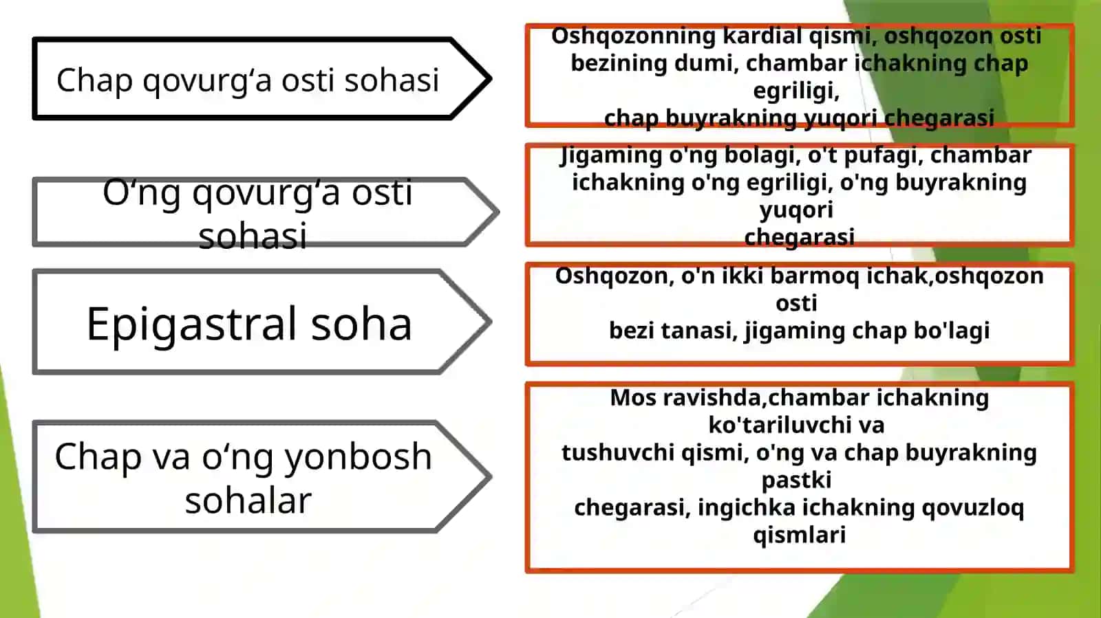 Qorin chuqur palpatsiyasi 4