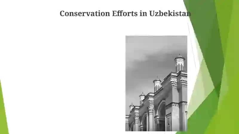 Ecology of Uzbekistan 4