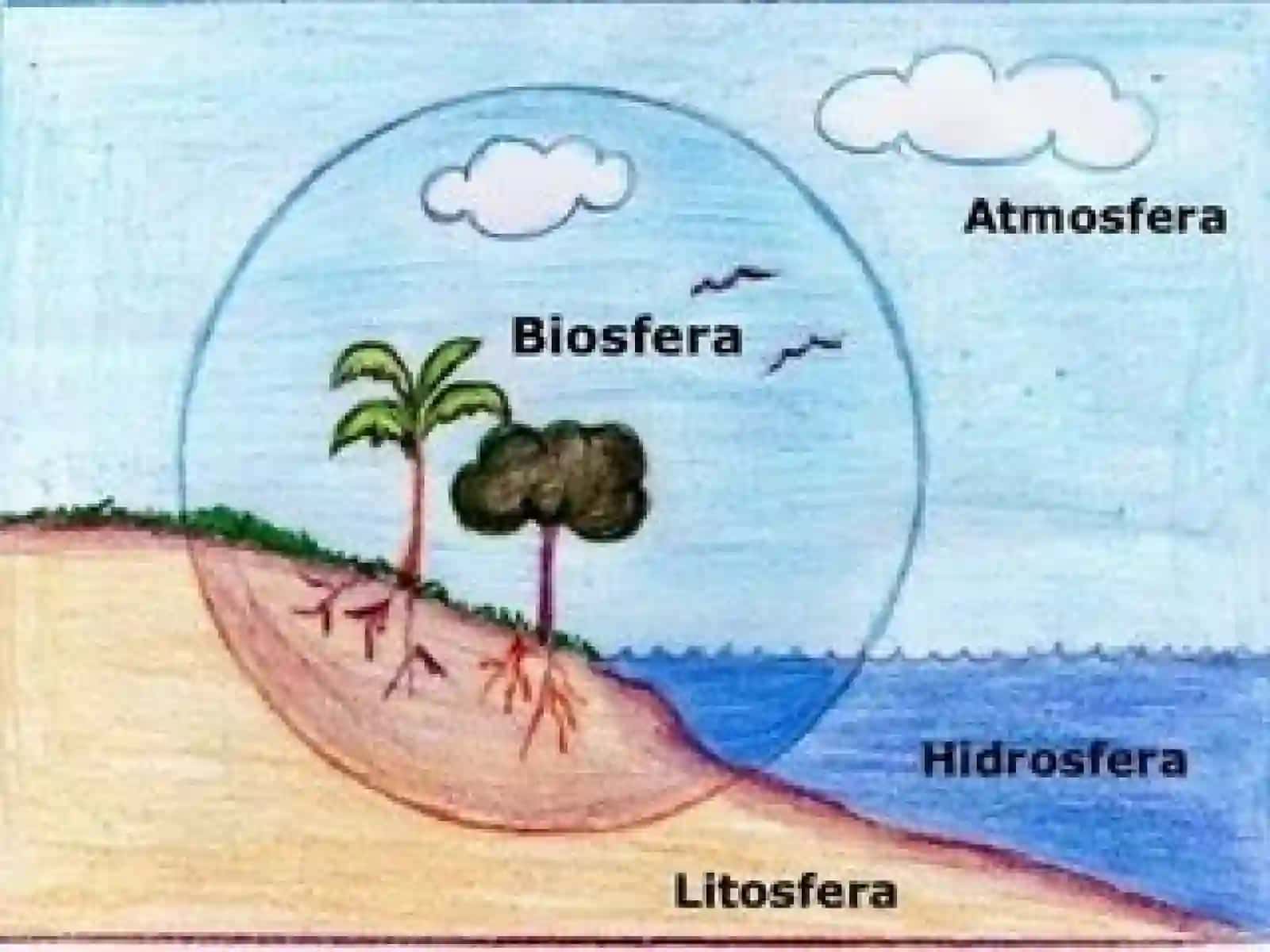 Biosfera haqida umumiy tushuncha 4