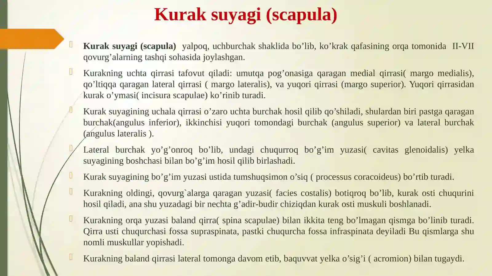 Qo’lsuyaklari 4