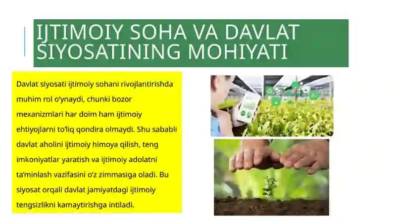 JAMIYATNING IJTIMOIY SOHASINI RIVOJLANTIRISHDA DAVLAT SIYOSATI 4