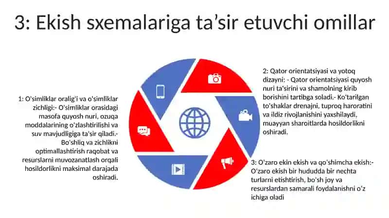 Sabzavot Ekinlarini Dalada Ekish Sxemalari 4