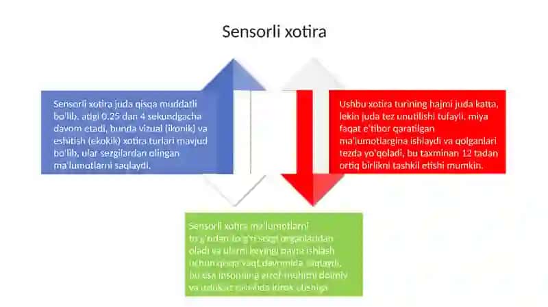 Xotiraturlari, uningjarayonlari 4