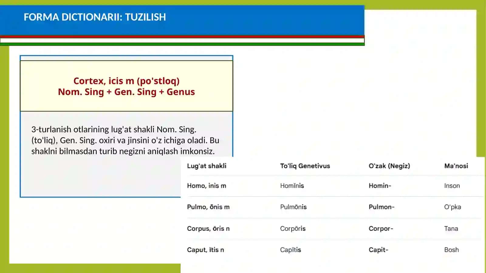 LOTIN TILI: OTLARNING 3-TURLANISHI: MASCULINUM 4