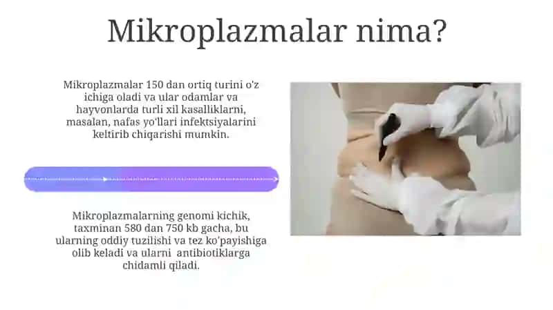Lipomalar: Klinik ko'rinishi va diagnostikasi 4