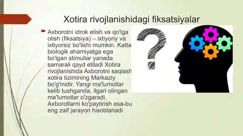 Xotiraning rivojlanishi 4