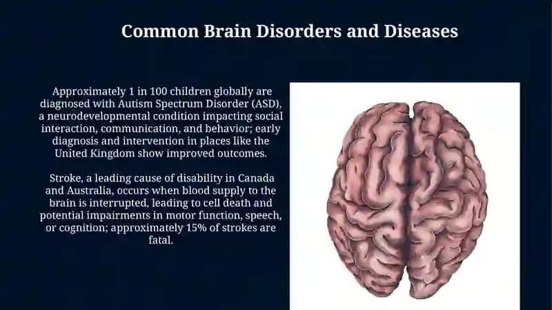 The Amazing Capabilities of the Brain 4