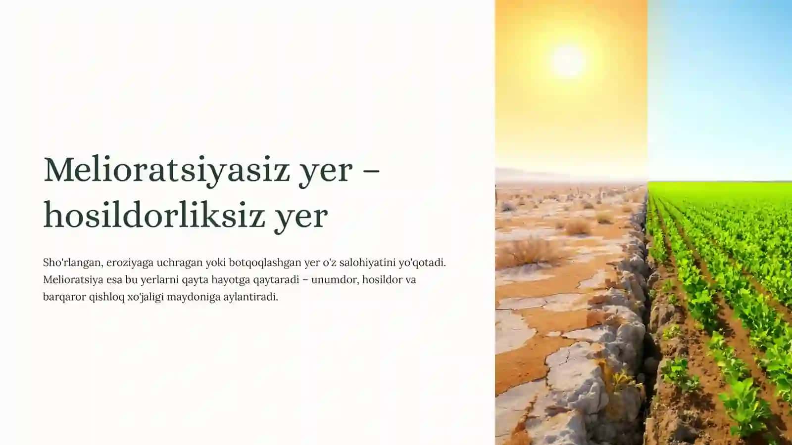 Qishloq xo'jaligi yerlari va ularning meliorativ holati 4