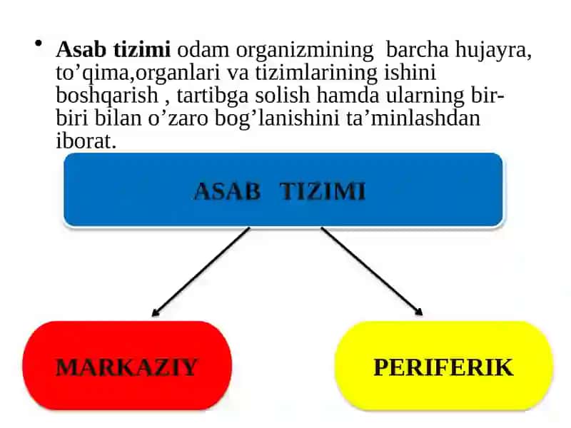 ASAB MARKAZLARI XOSSALARI 4