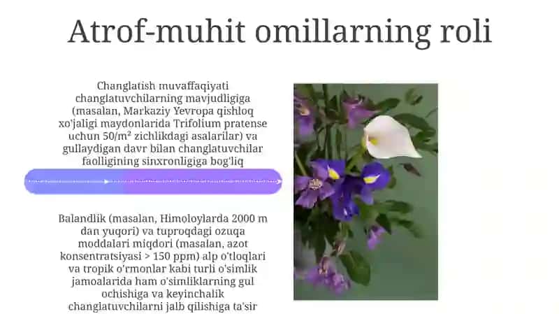 O’simliklarning gullashi va changlanishi 4