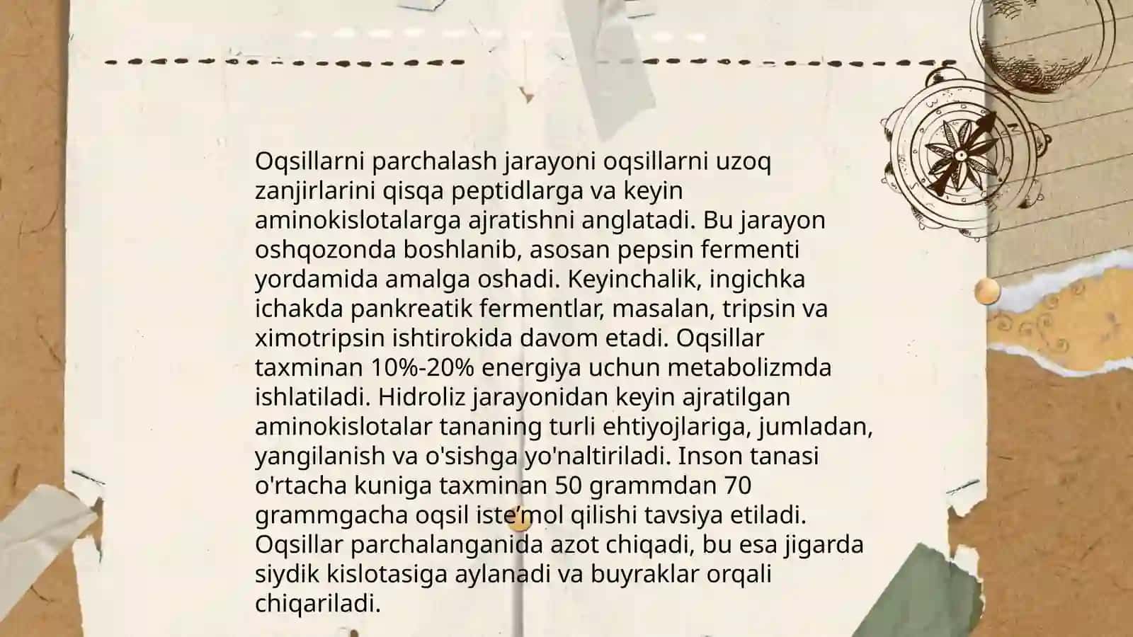 Aminokislotalar almashinuvi 4