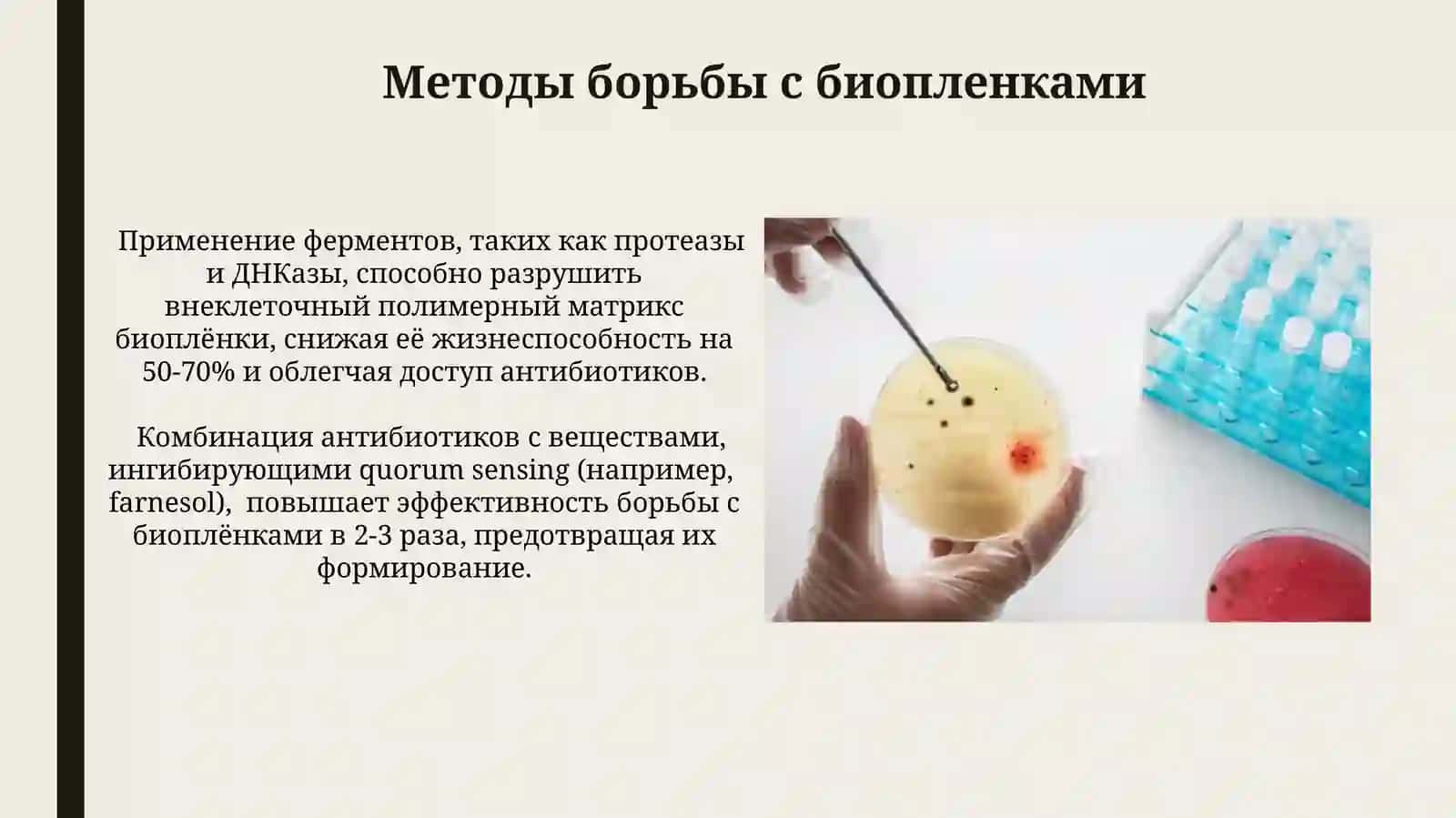 Образование бактериальной биопленки. Его практическое значение 4