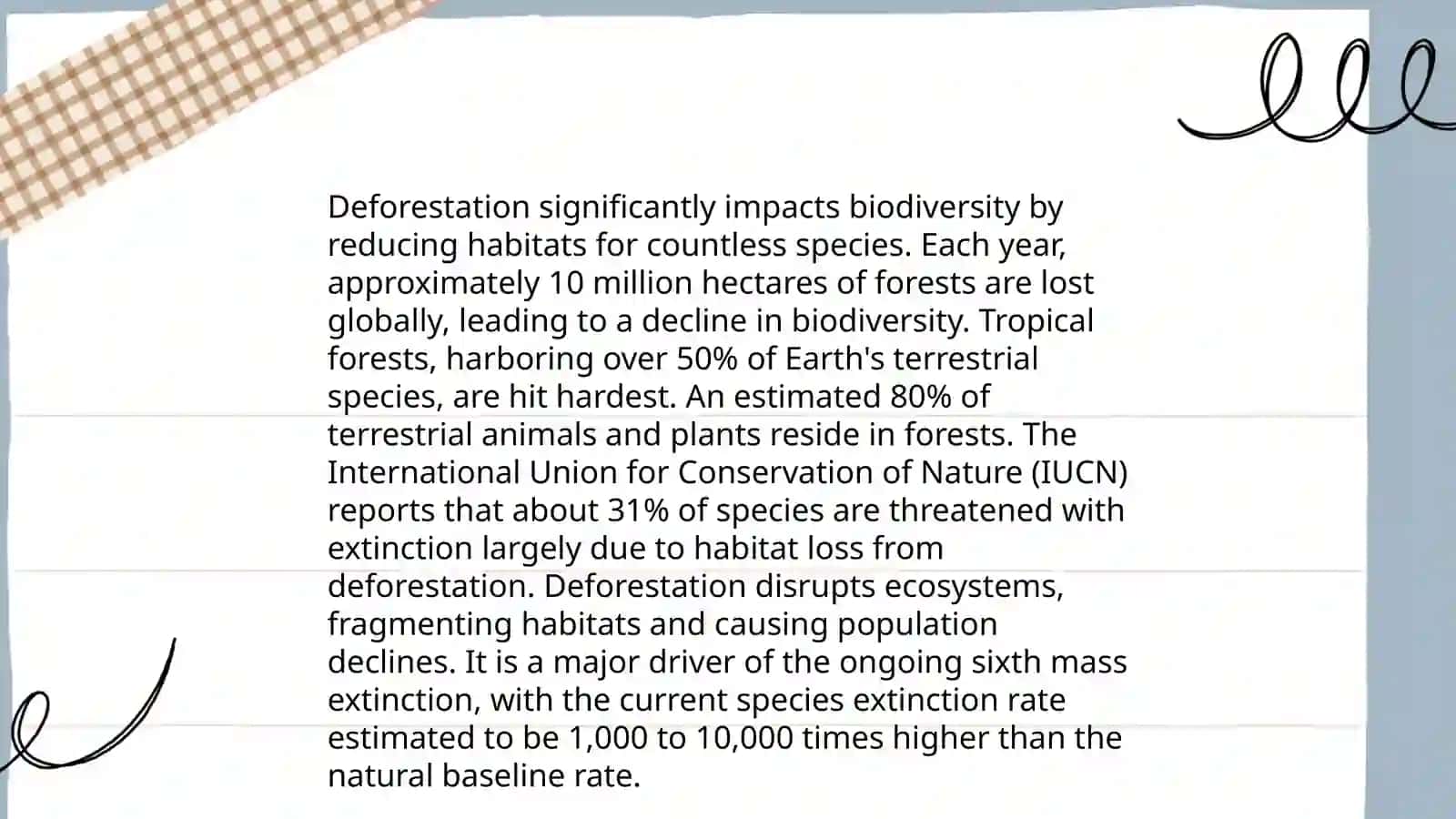 Deforestation 4