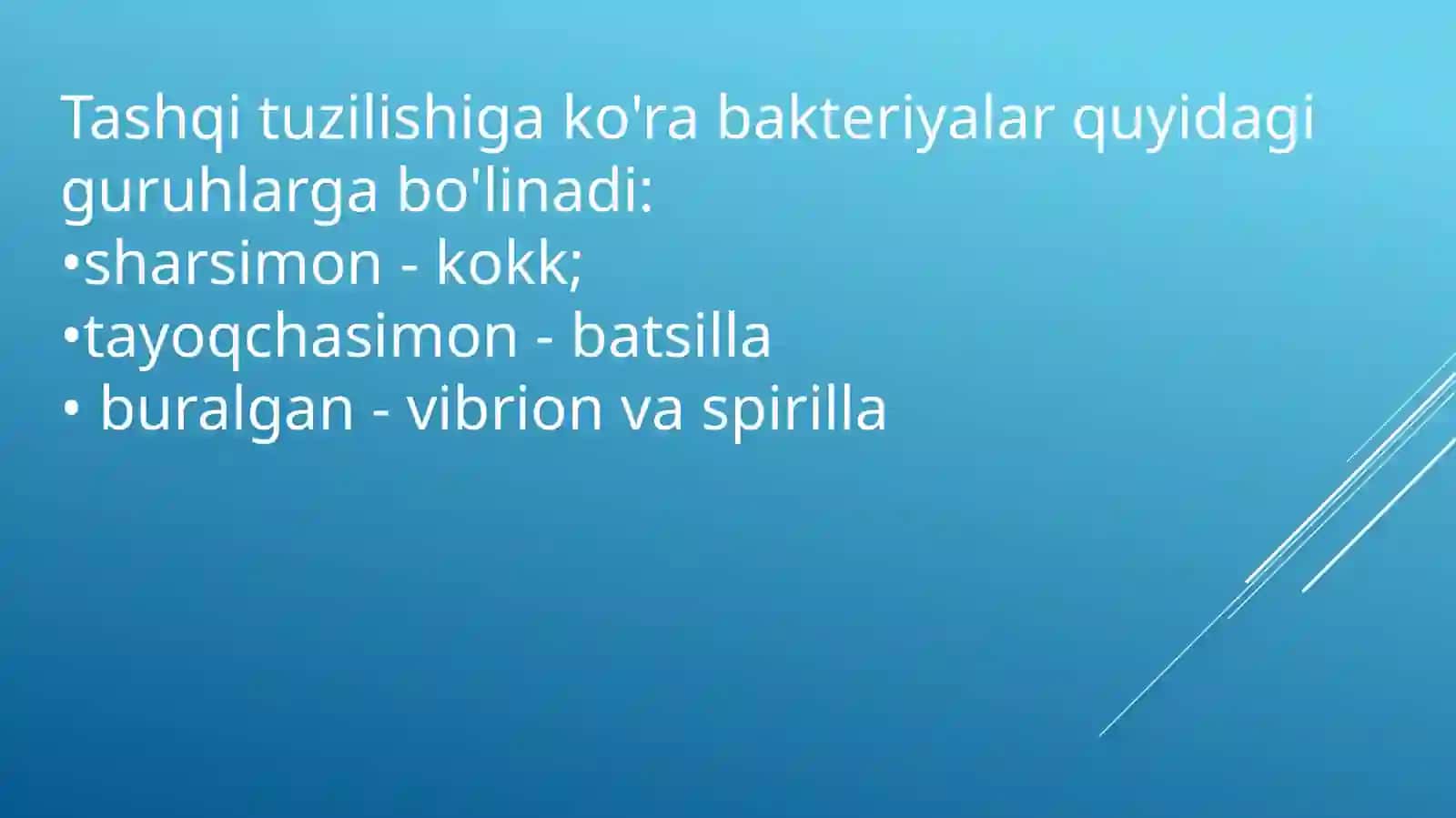Bakteriyalar dunyosi 4