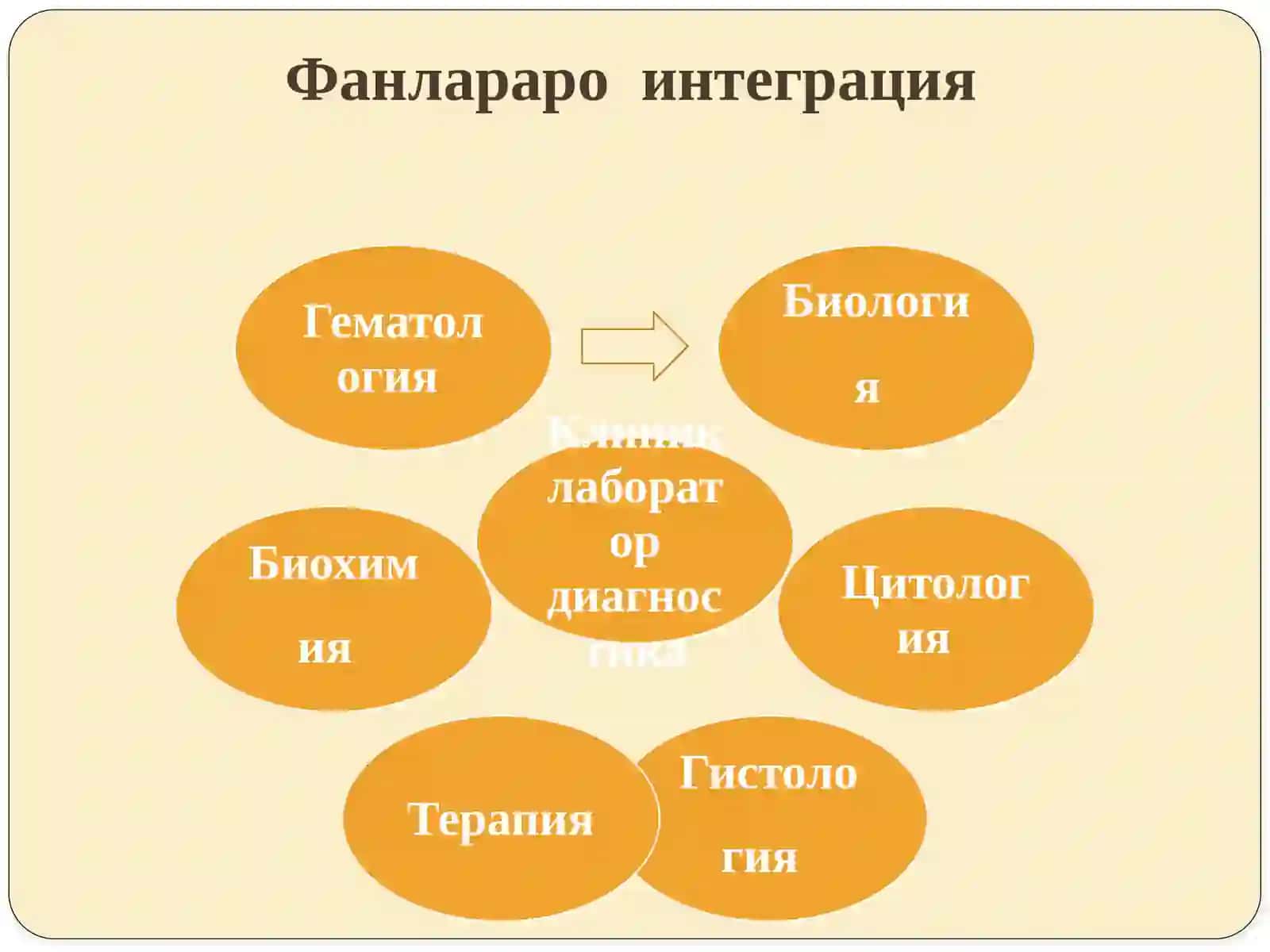 Жинсий ўлбилан юқадиган касалликлар 4
