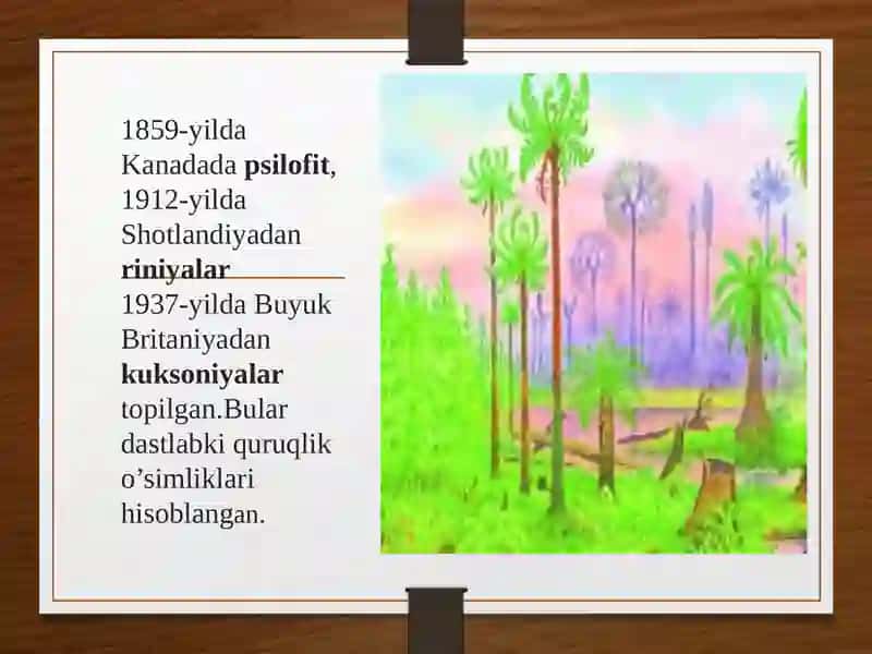 Yerda o’simliklar dunyosining rivojlanishi 4