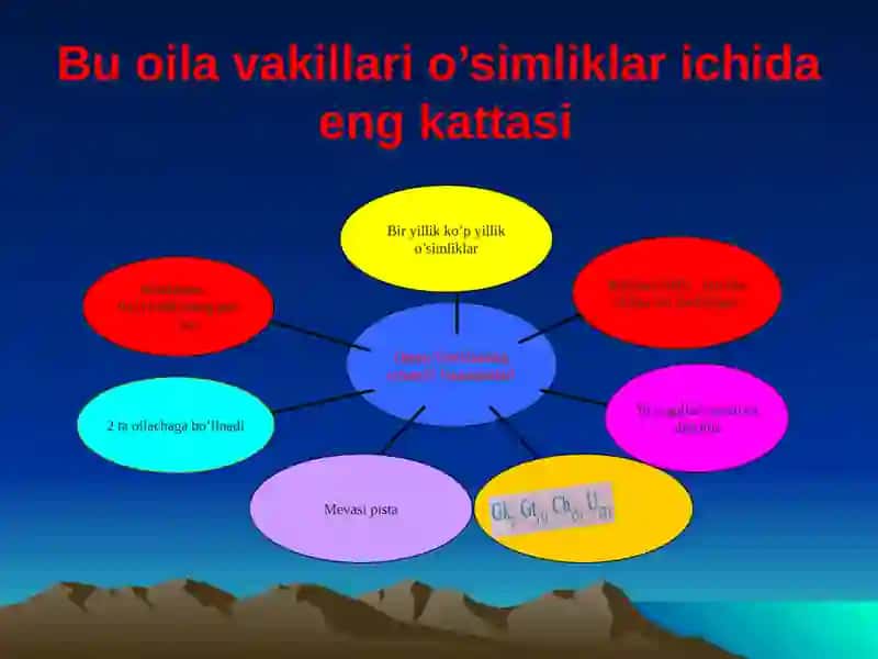 Qoqio’tdoshlar oilasi 4