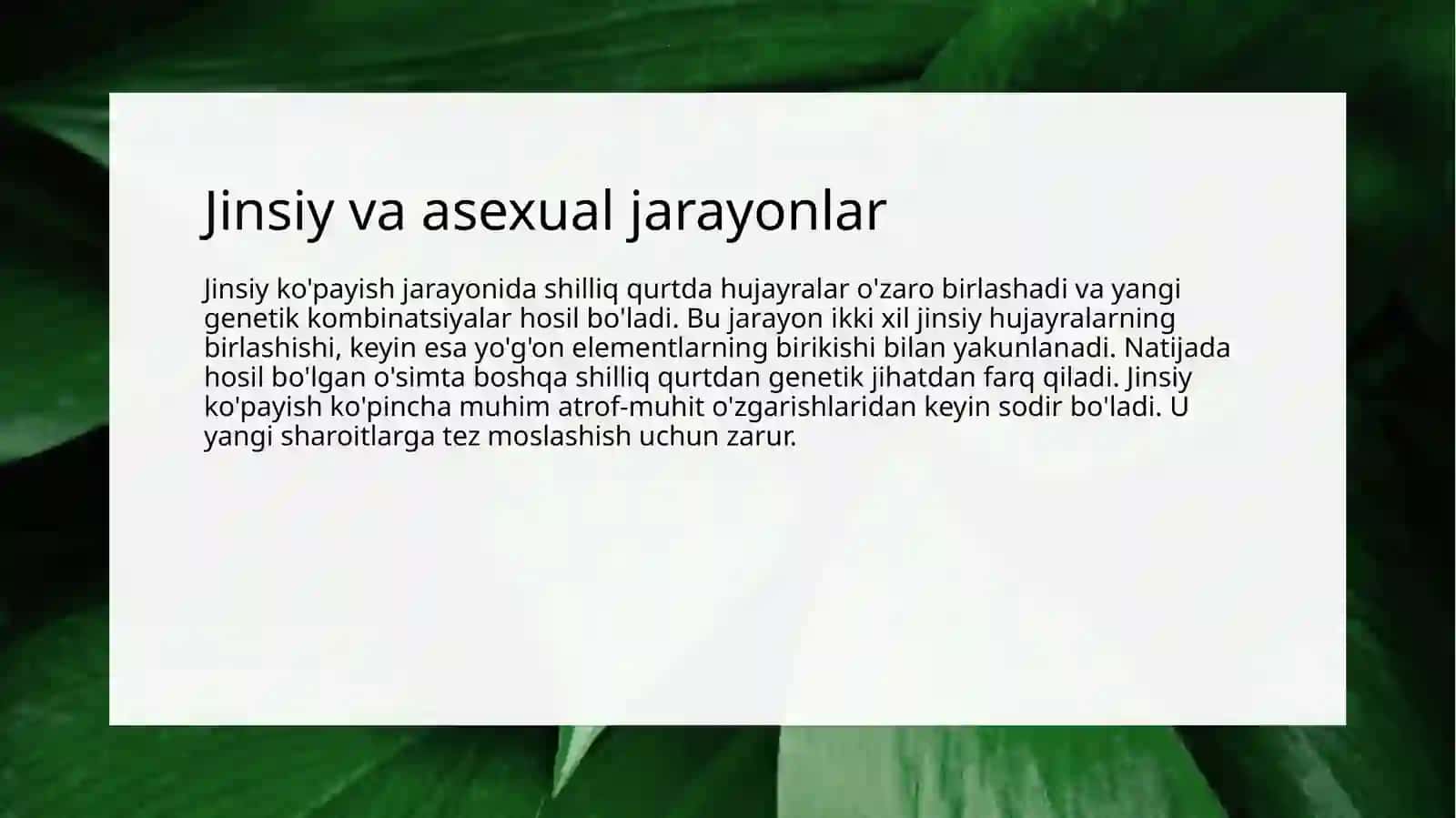 SHILLIQ QURTLAR KO'PAYISHI 4