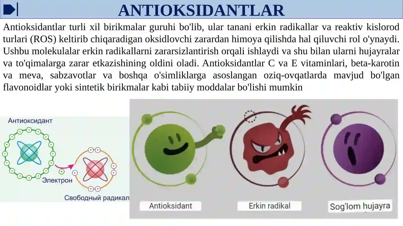 Antioksidantlar. Ularning klinikada qo'llanilishi 4