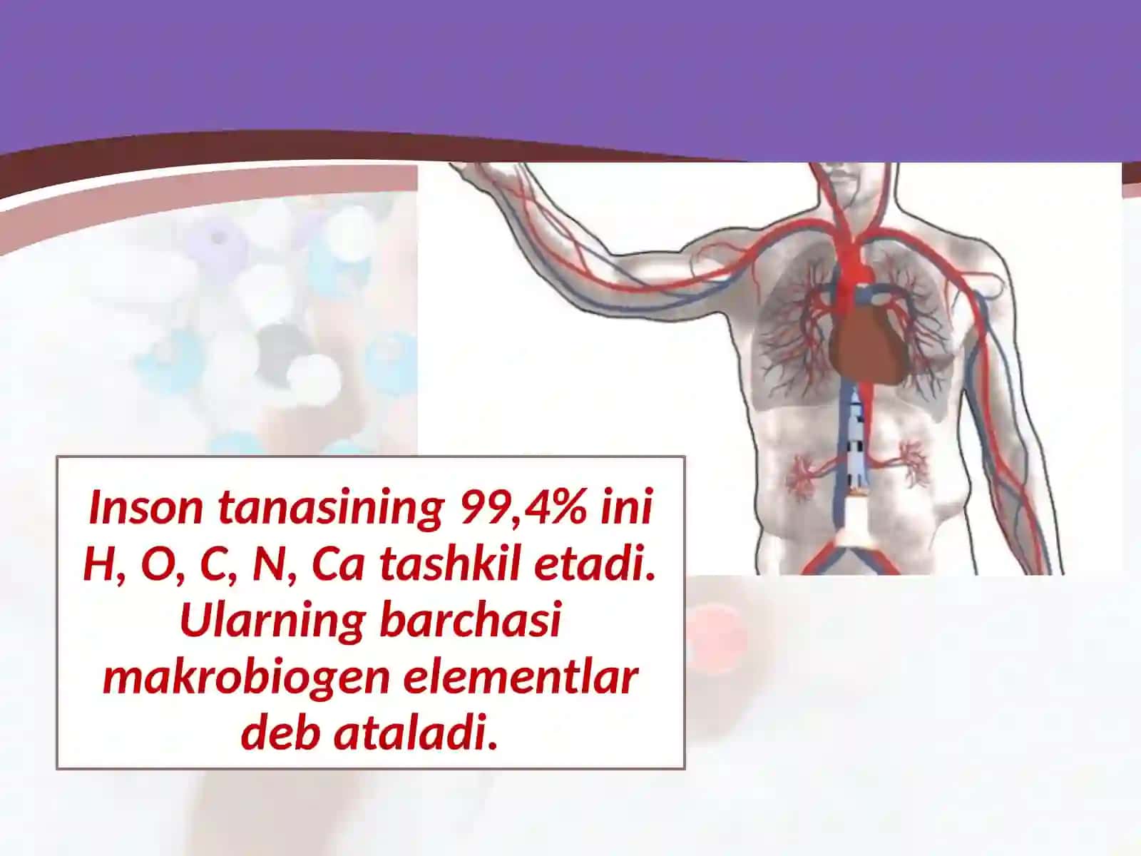 Biogenelementlar va ularning tirikorganizmlardagi ahamiyati 4