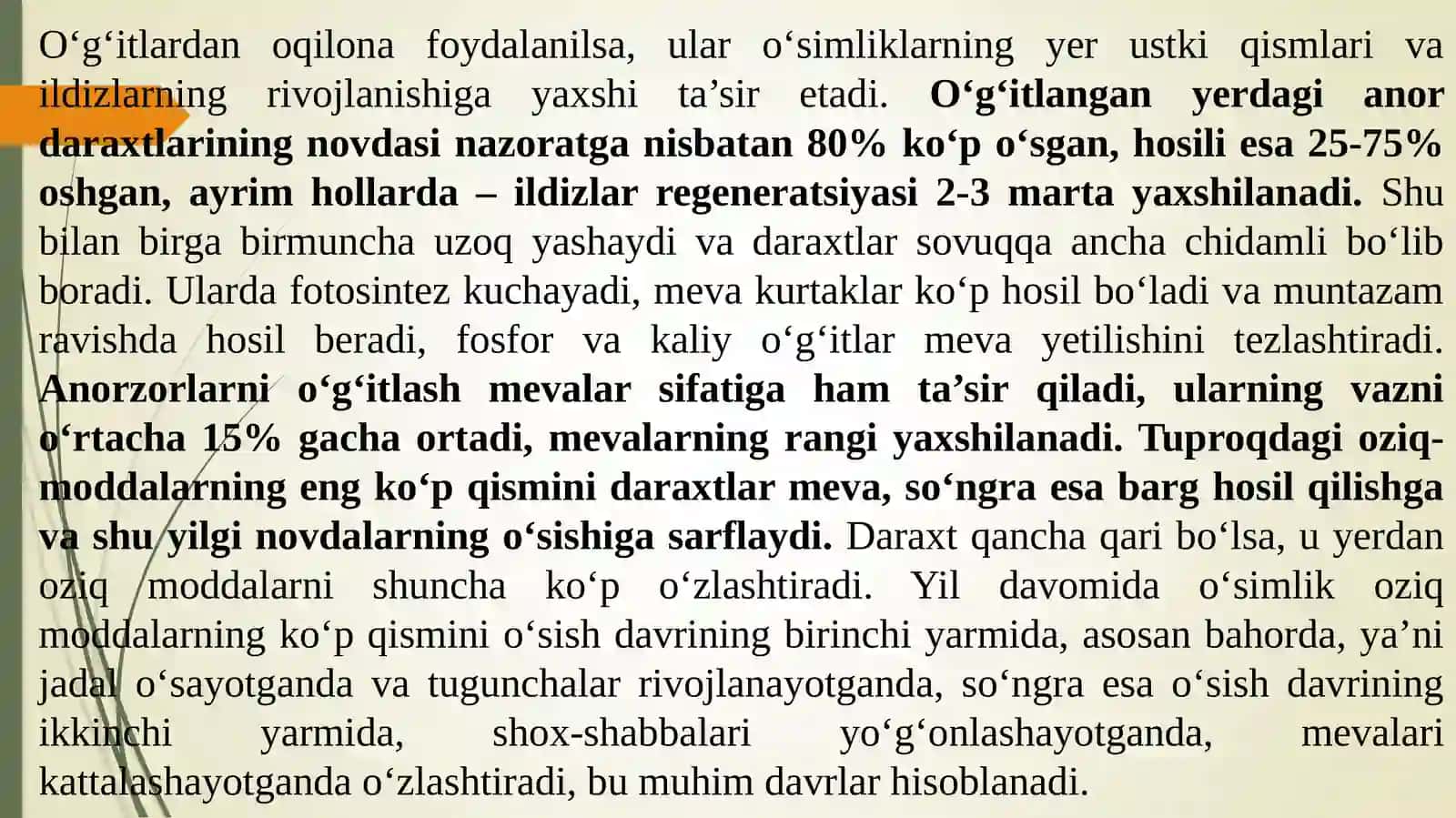 Anor mevalarini saqlash uchun yetishtirish 4