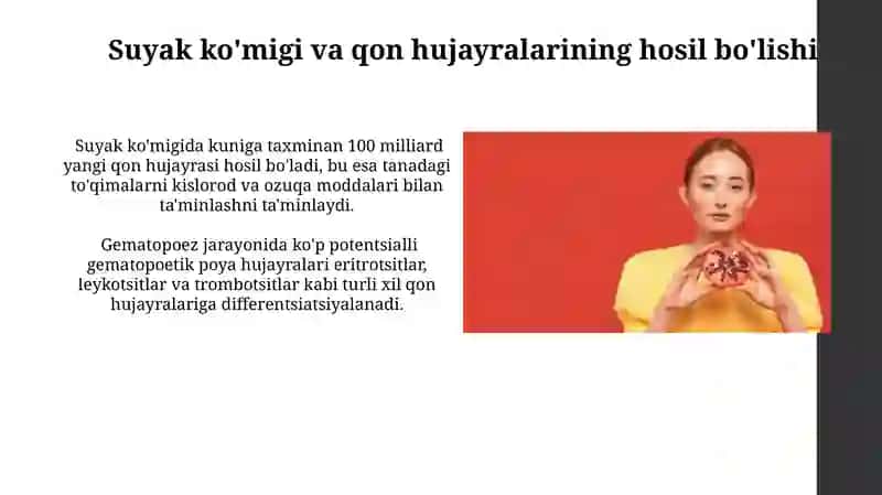 Qon yaratuvchi va immun himoya aʼzolari 4