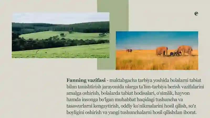 Maktabgacha ta'limda tabiat bilan tanishtirishning nazariy asoslari. 4