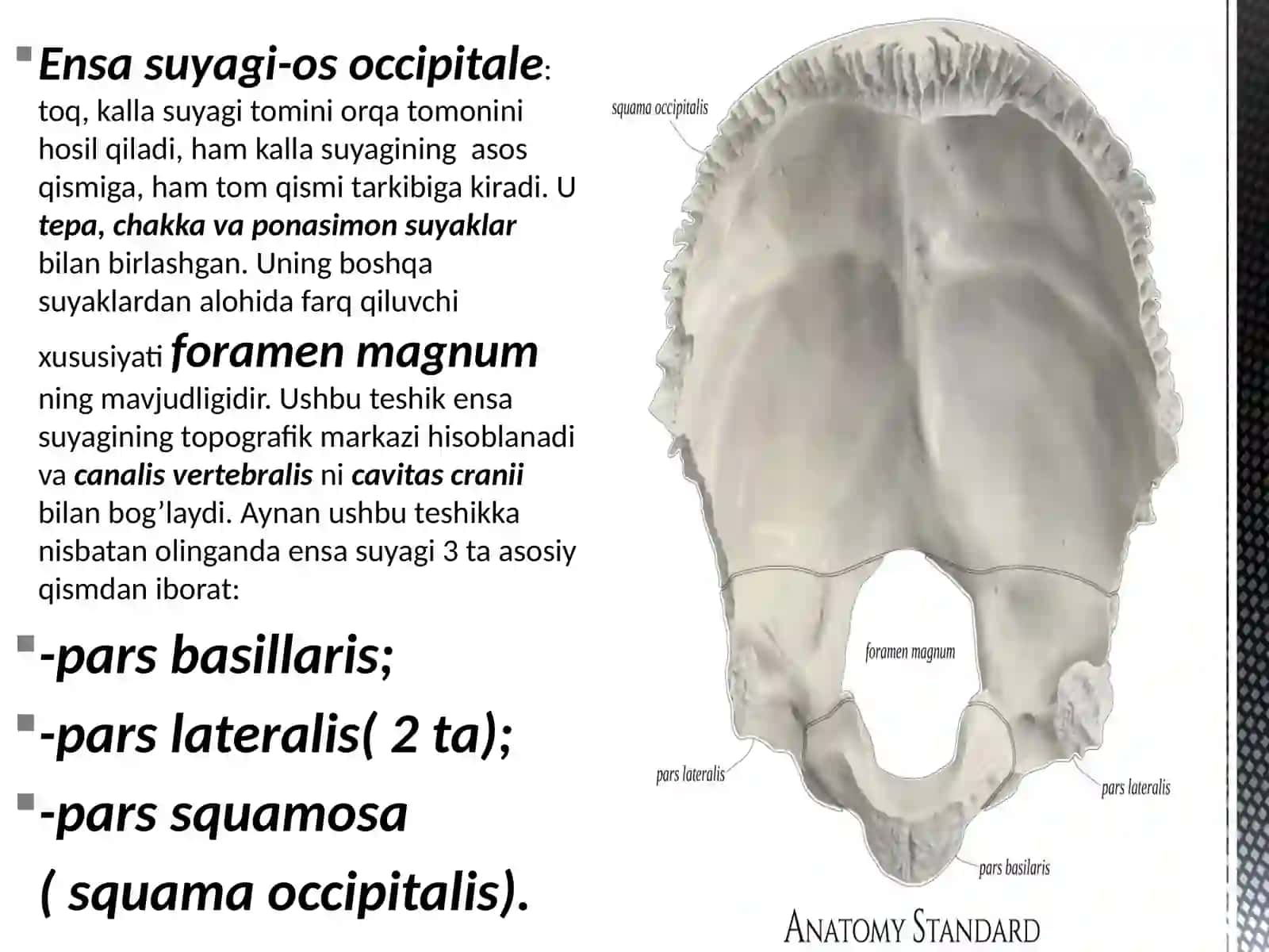 KALLA SUYAKLARIOS OCCIPITALE, OS FRONTALE,OS ETHMOIDALE,OS PARIETALE 4