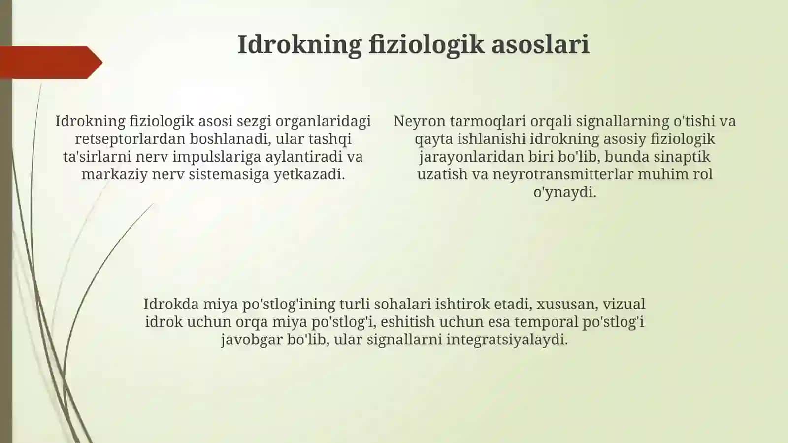 Diqqat sezgi va nutq xossalari 4