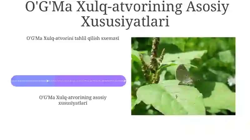 Og‘Ma Xulq Atvorni Tahlil Qilish Sxemasi 4