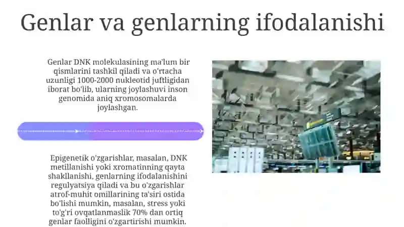 Oqsil Sintezi va Uning Ahamiyati 4
