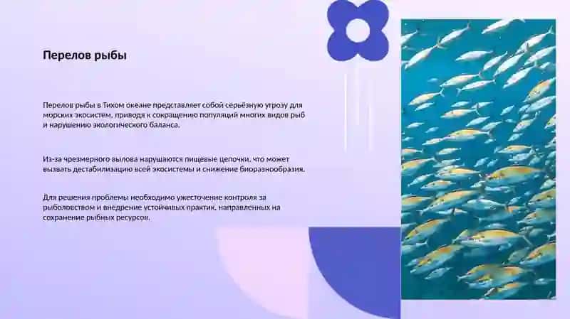 Экологические проблемы Тихого океана 4