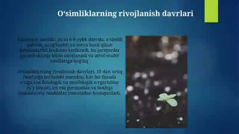 Oʻsimliklarning oʻsishi va rivojlanishi 4