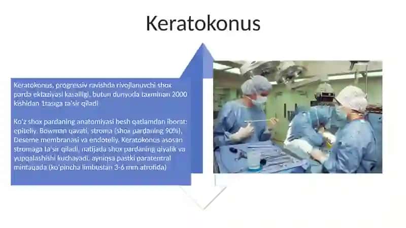 Yon qorinchalar anatomiyasi va klinikasi. 4
