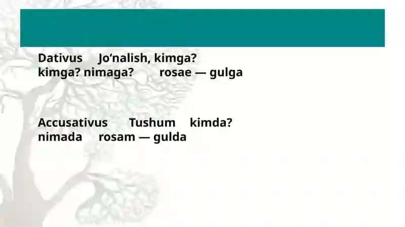 Lotin tilida otlar uchta rodga bo'linadi 4