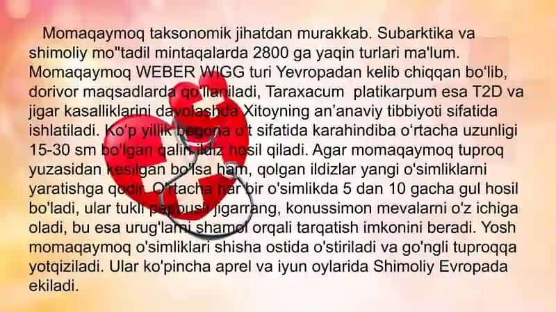 Momaqaymoq 4