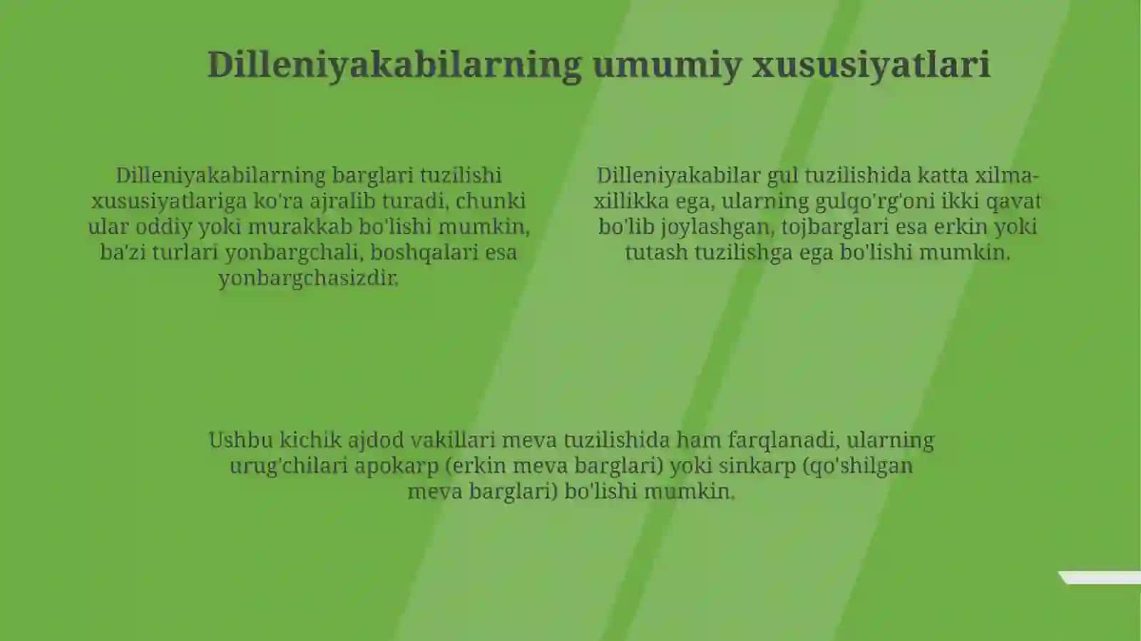 Dilleniyakabilar kichik ajdodi – Dillenidae 4