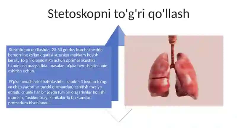 O'pka Auskultatsiyasi 4