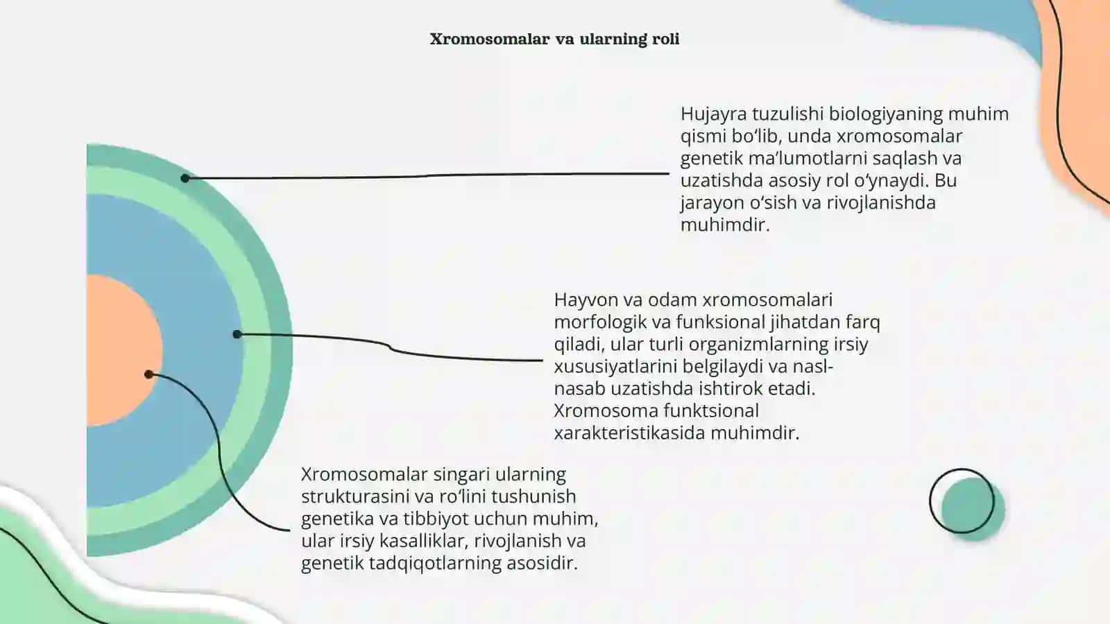 Hujayra tuzulishi. Hayvon va odam xromosomalarining morfofunksional xarakteristikasi 4