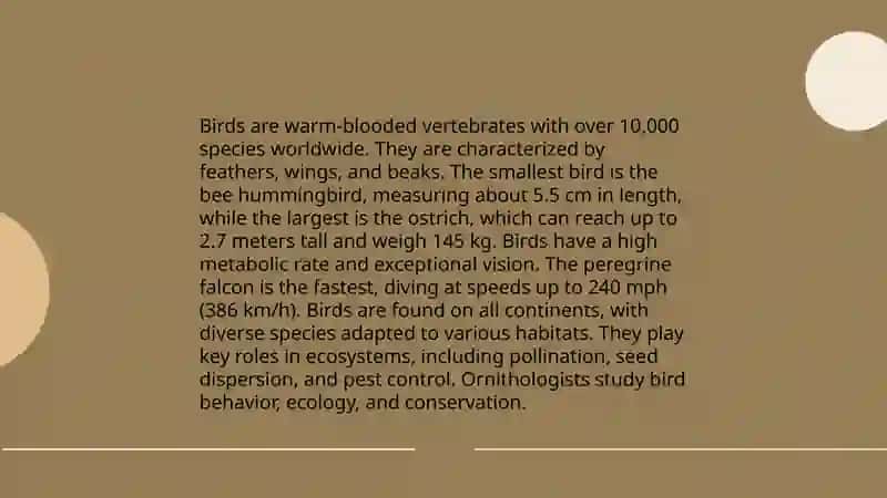 Groups of animals 4